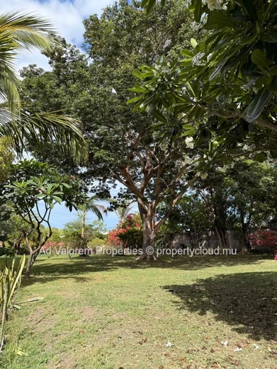 Prime Residential Plot for Sale in Plantation Marguery, Black River