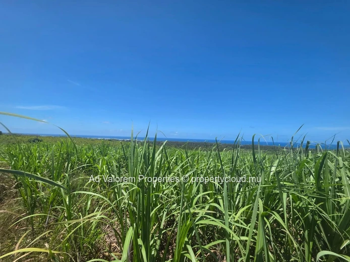 Large Agricultural Land for Sale 