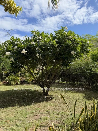 Prime Residential Plot for Sale in Plantation Marguery, Black River