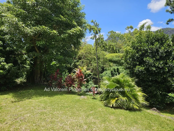 Freehold Contemporary House - 180 m2, 3 bedrooms, 2 bathrooms | Moka