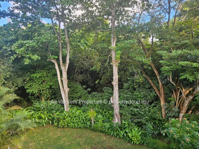 Beautiful 3-bedroom apartment for rent - Le Ravin, Moka