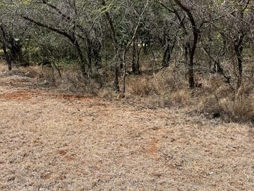 Residential Land