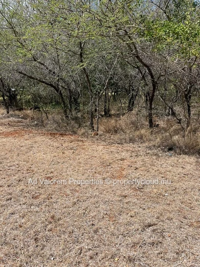Land for sale in Black River