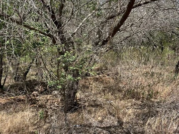 Residential Land