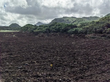 Agricultural Land