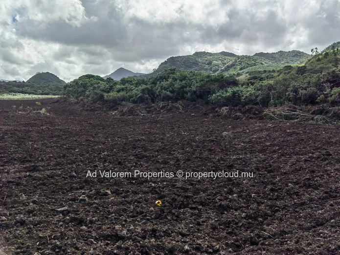 Large Agricultural Land for Sale – Martinière, Surinam – Panoramic Views & Natural Setting