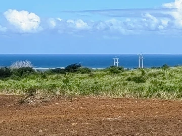 Agricultural Land