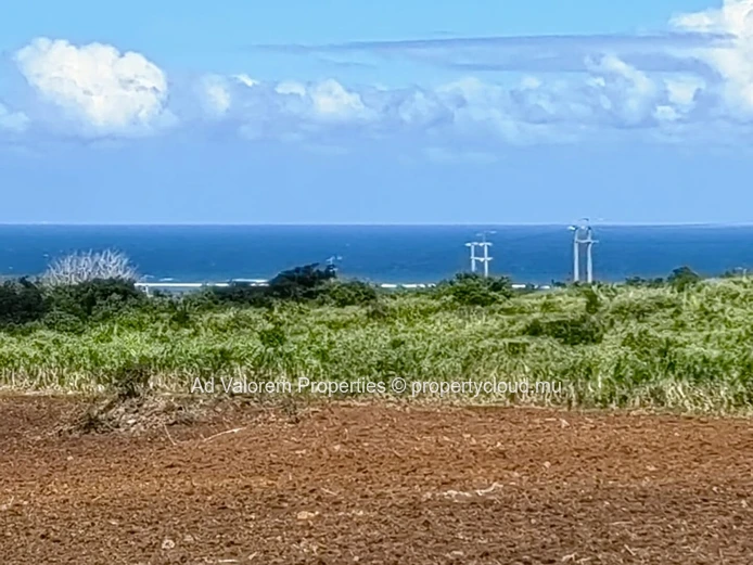 Large Agricultural Land for Sale – Martinière, Surinam – Panoramic Views & Natural Setting