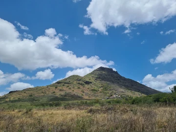 Residential Land