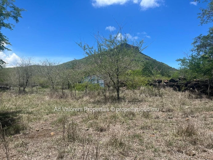 Land for sale in Black River.