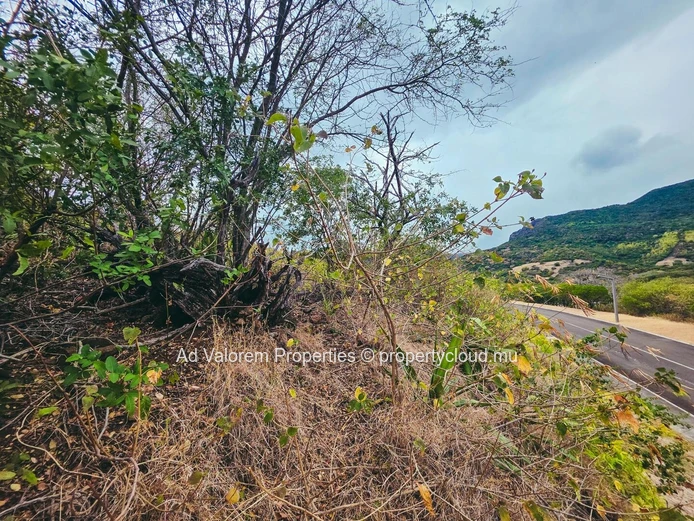 For sale land- Black River