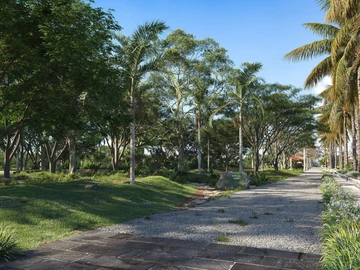 Residential Land