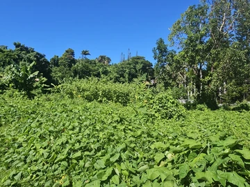Residential Land