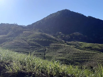 Agricultural Land