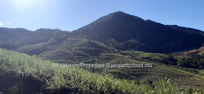Land for sale in the upper valley of Anse Jonchée.<br/>