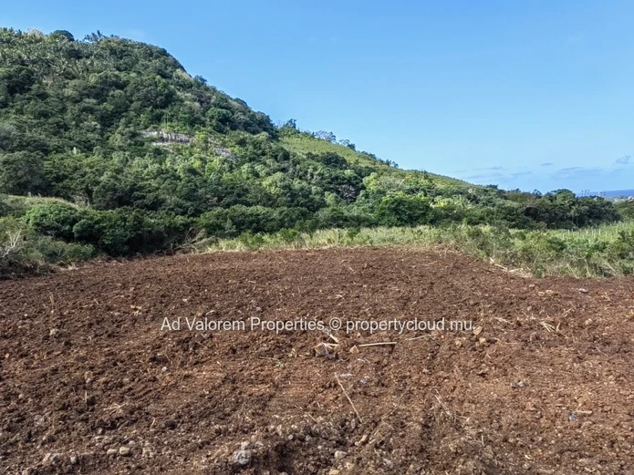 Large Agricultural Land for Sale – Martinière, Surinam – Panoramic Views & Natural Setting