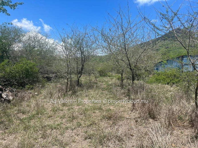 Land for sale in Black River.