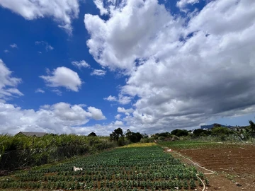 Residential Land
