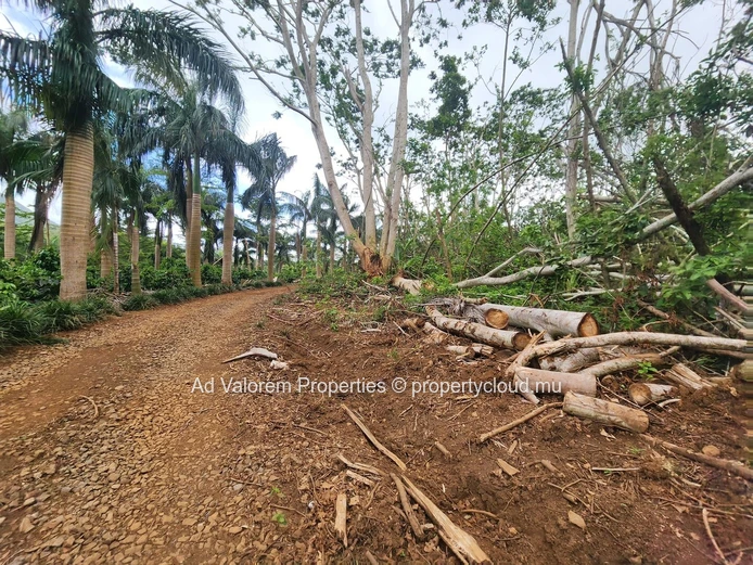 Chamarel - Prime Agricultural Land for Sale 