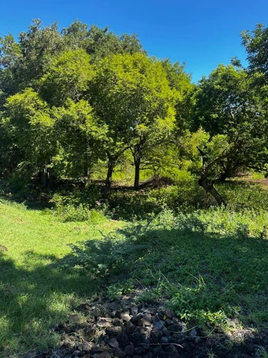 ?? Exceptional Plot of Land – Domaine de Palmyre, Rivière Noire