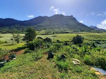 Residential Land