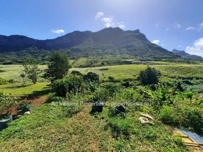 FOR SALE – Exceptional Residential Land | Moka, Bois Cheri Road 90 perches (Sole Mandate)