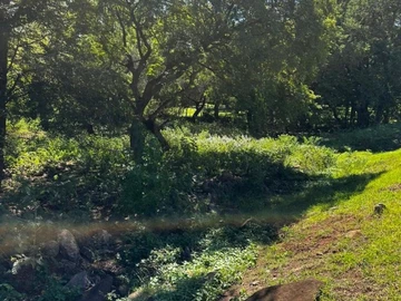 Residential Land