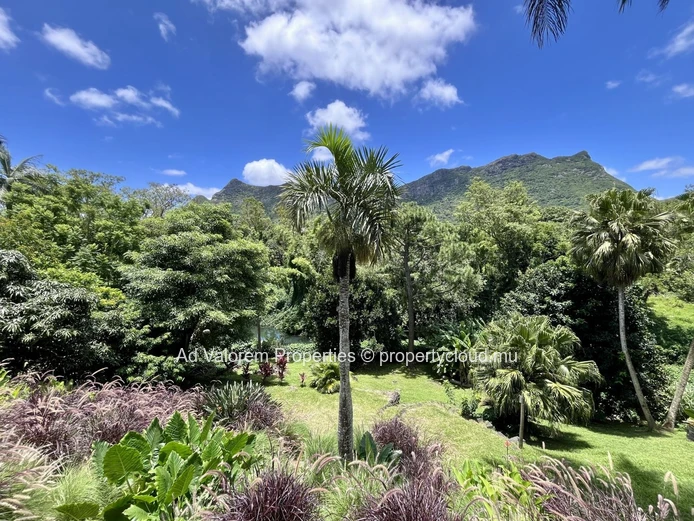 Freehold Contemporary House - 180 m2, 3 bedrooms, 2 bathrooms | Moka