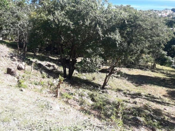 Residential Land