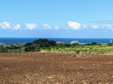 Agricultural Land