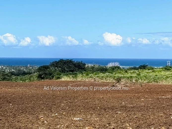 Large Agricultural Land for Sale – Martinière, Surinam – Panoramic Views & Natural Setting