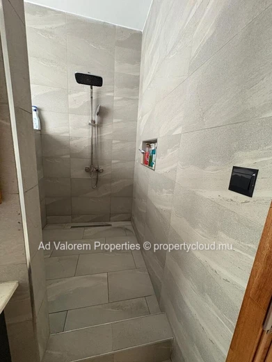 Beautiful House for Sale in Albion – Rooftop Sea View | Fully Furnished