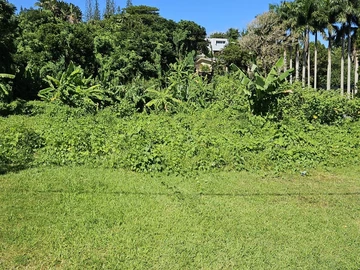 Residential Land