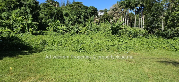 Residential Land for Sale in Floréal!