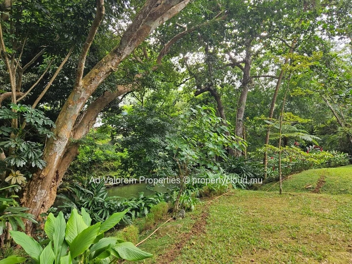 Beautiful 3-bedroom apartment for rent - Le Ravin, Moka
