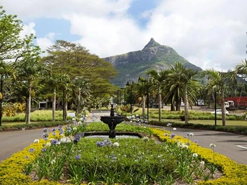 Commercial Land