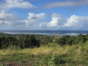 Agricultural Land