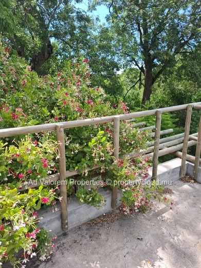 House for sale in Black River-A Haven of Peace.