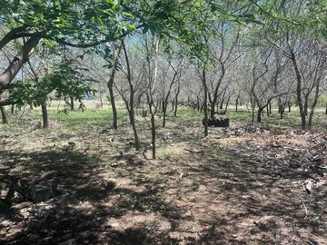 Residential Land