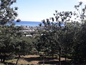 Residential Land