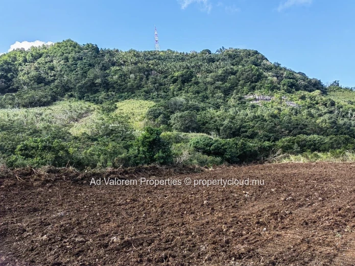 Large Agricultural Land for Sale – Martinière, Surinam – Panoramic Views & Natural Setting
