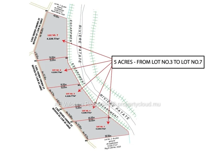 Large Agricultural Land for Sale – Martinière, Surinam – Panoramic Views & Natural Setting