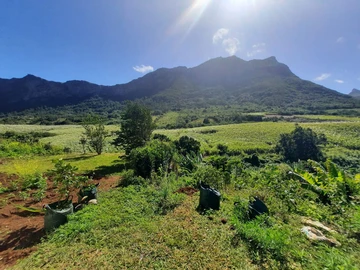 Residential Land