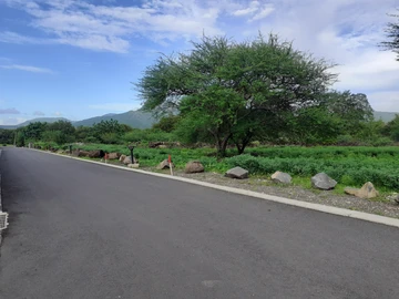 Residential Land