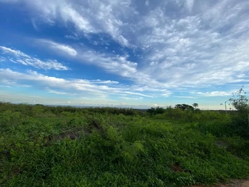 Residential Land