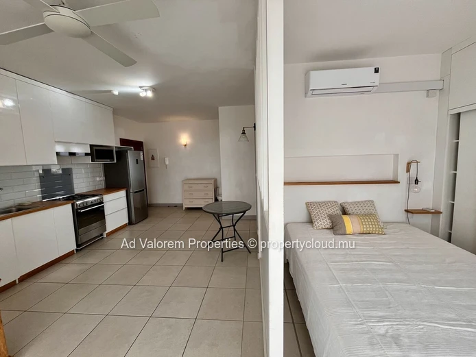 Modern Studio for Rent – Les Promenades d'Helvetia