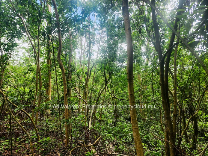 Chamarel - Prime Agricultural Land for Sale 