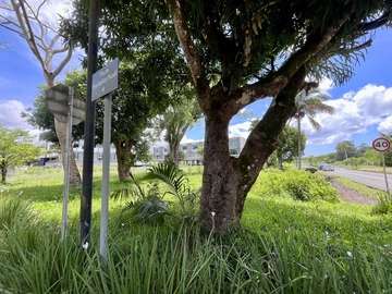 Commercial Land