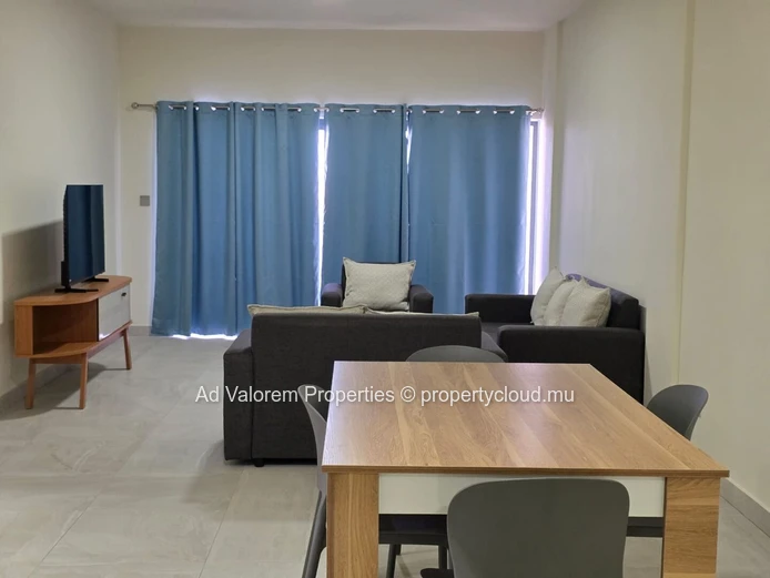 Appartement Moderne À Louer À Trianon