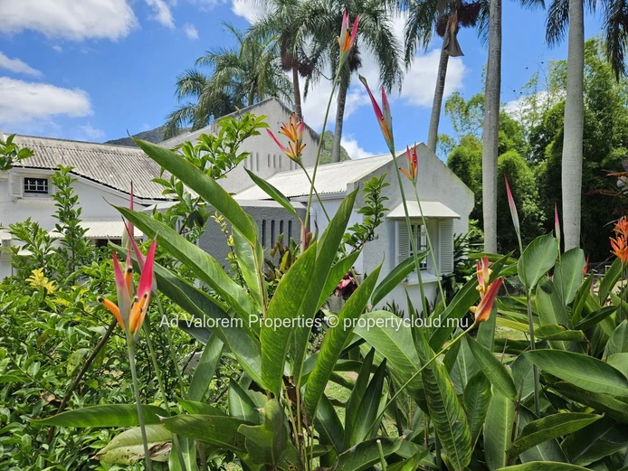 Freehold Contemporary House - 180 m2, 3 bedrooms, 2 bathrooms | Moka